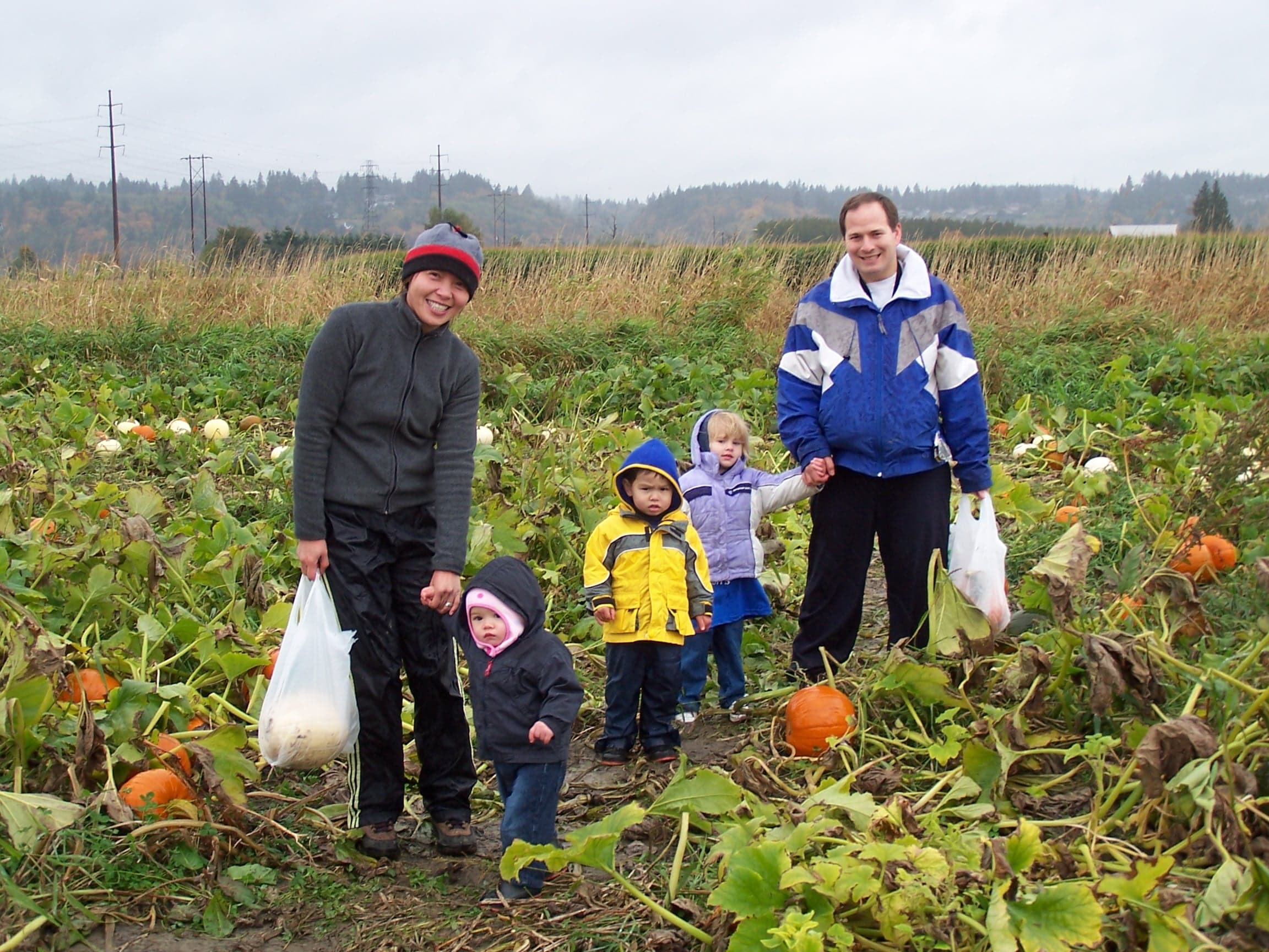 Pumpkin Patch