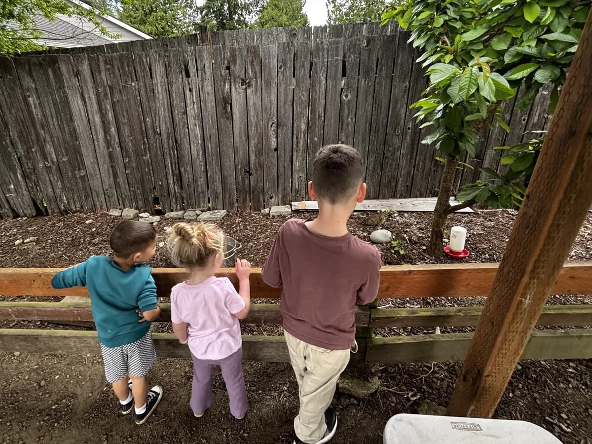 watching our garden grow