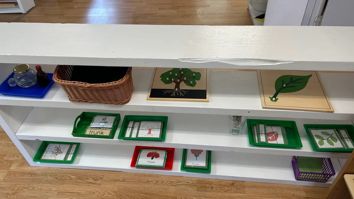 Science Shelf
